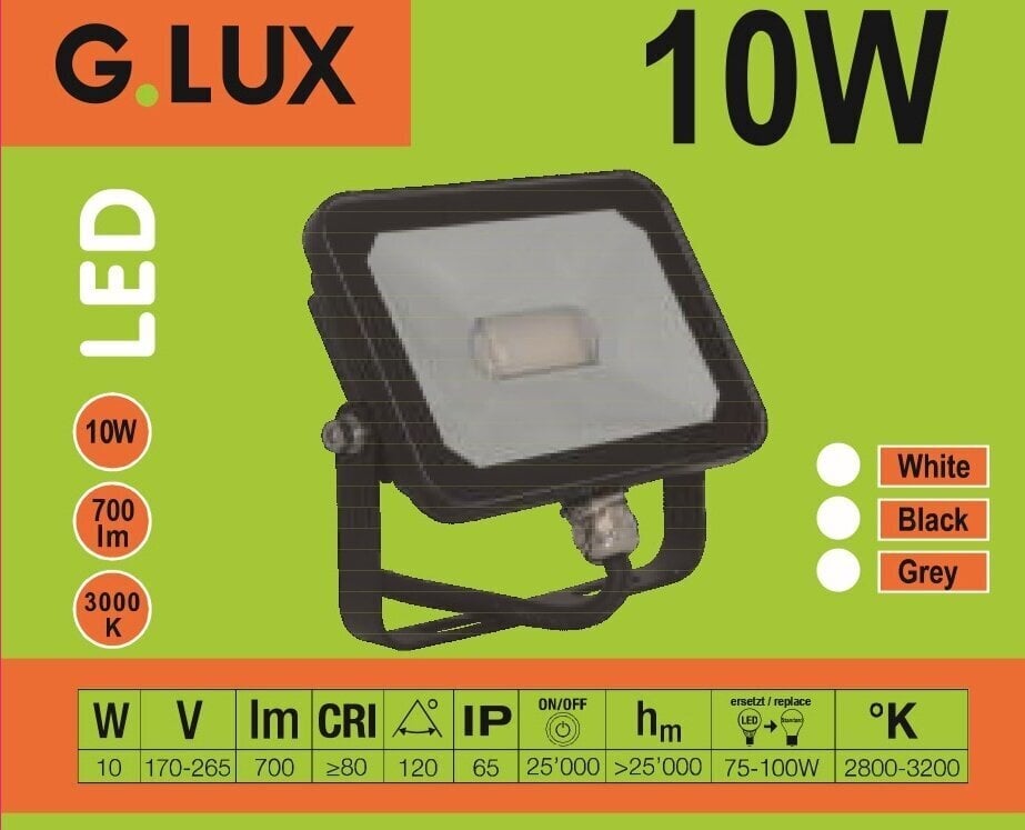 LED väliprožektor GR-FL-10W, must цена и информация | Aia- ja õuevalgustid | kaup24.ee