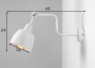 Настенный светильник Aldex Frik цена и информация | Настенный светильник Конусы | kaup24.ee