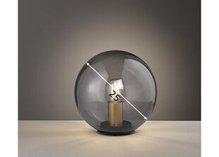 Настольная лампа Dini цена и информация | Настольные лампы | kaup24.ee