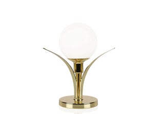 Настольная лампа Savoy, латунь цена и информация | Настольная лампа | kaup24.ee