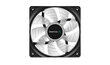 Deepcool Case Fan RF 120 B цена и информация | Arvuti ventilaatorid | kaup24.ee