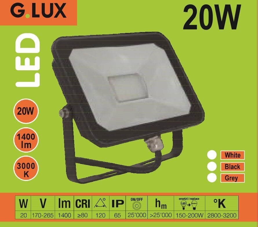 LED väliprožektor GR-FL-20W, valge hind ja info | Aia- ja õuevalgustid | kaup24.ee