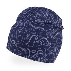 Poiste topeltmüts kevadeks TuTu, sinine/hall цена и информация | Шапки, перчатки, шарфы для мальчиков | kaup24.ee