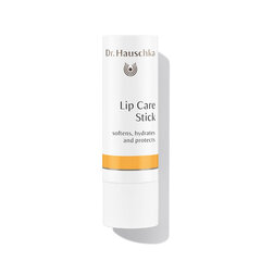 Dr. Hauschka Lip Care huulepalsam 4,9 g hind ja info | Huulepulgad, -läiked, -palsamid, vaseliin | kaup24.ee