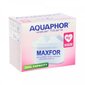 Aquaphor B100-25 Maxfor Mg+ hind ja info | Filterkannud ja filtrid | kaup24.ee