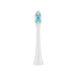 ETA Toothbrush replacement SoftClean ETA цена и информация | Для ухода за зубами | kaup24.ee