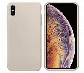 Мягкий силиконовый чехол Evelatus для iPhone 11 Pro с диагональю 5,8 дюйма цена и информация | Чехлы для телефонов | kaup24.ee