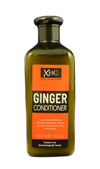 Xpel Ginger palsam 400 ml hind ja info | Juuksepalsamid | kaup24.ee