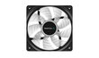 Deepcool DP-FLED-RF120-WH цена и информация | Arvuti ventilaatorid | kaup24.ee