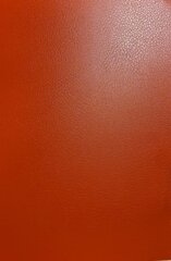 Evelatus Leather Film for Sreen Cutter Red цена и информация | Защитные пленки для телефонов | kaup24.ee