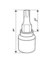 Padrun torx 1/2'' TX30, 55mm hind ja info | Käsitööriistad | kaup24.ee