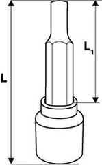 Padrun torx 1/2'' TX40, 100mm цена и информация | Механические инструменты | kaup24.ee