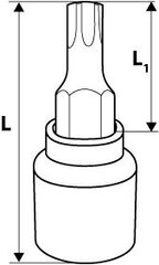 Padrun torx 1/2'' TX40, 55mm hind ja info | Käsitööriistad | kaup24.ee