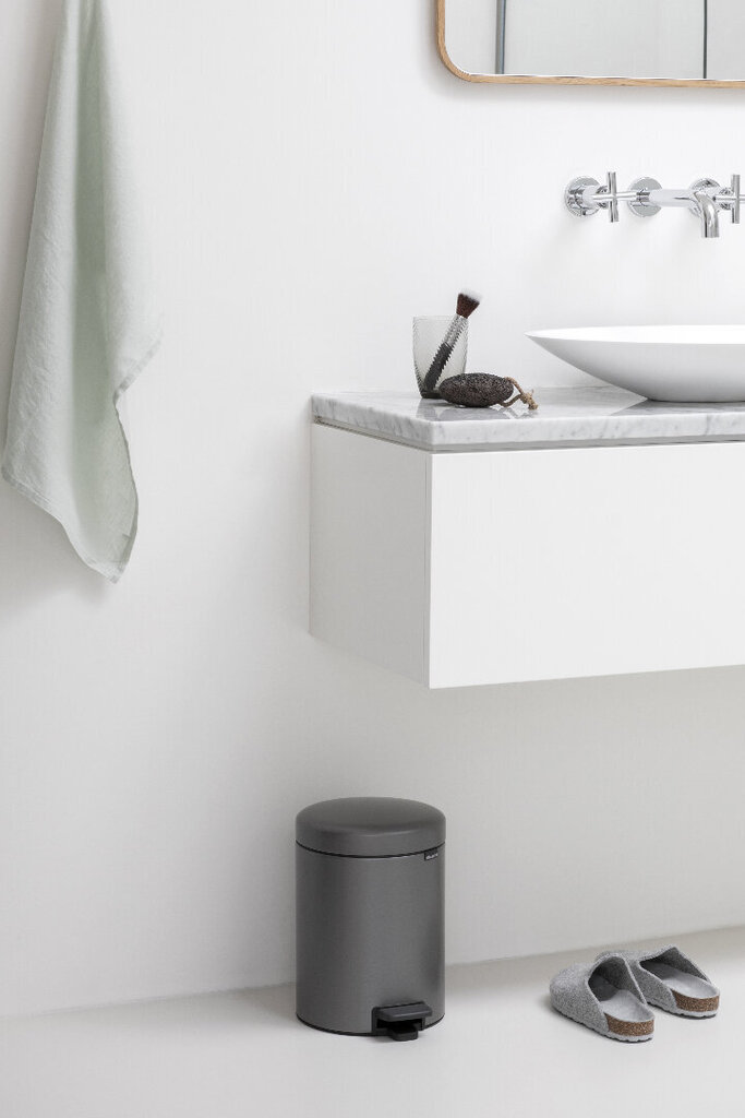 Brabantia NewIcon pedaaliga prügikast Recycle 2x2L plaatina hind ja info | Prügikastid | kaup24.ee