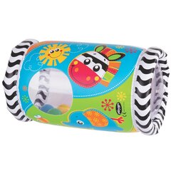 PLAYGRO muusikaline mänguasi Peek in Roller, 0184970 цена и информация | Игрушки для малышей | kaup24.ee