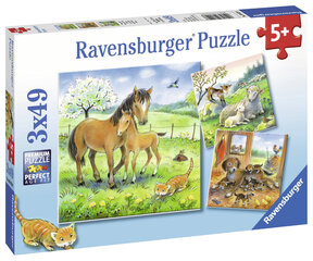 Ravensburger pusle 3x49 tk Õrnuse aeg цена и информация | Пазлы | kaup24.ee