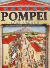 Pompei läbi aegade, Richard Platt hind ja info | Ajalooraamatud | kaup24.ee