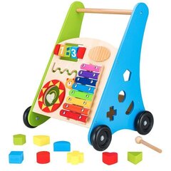 Многофункциональная игрушка-каталка Ecotoys цена и информация | Игрушки для малышей | kaup24.ee