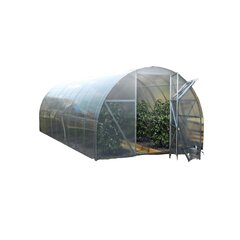 Arc kasvuhoone ECO 3x6 m hind ja info | Kasvuhooned | kaup24.ee