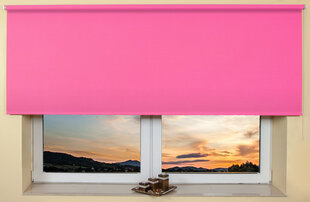 Настенный/потолочный ролет 160x170 см, 105 Розовый цена и информация | Рулонные шторы | kaup24.ee