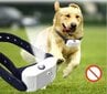 Petsafe Spray kassett, sidrunilõhnaline ( 3 - pakk ) hind ja info | Dresseerimise vahendid koertele | kaup24.ee