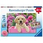 Ravensburger pusle 2x24 tk Karvased sõbrad hind ja info | Pusled | kaup24.ee