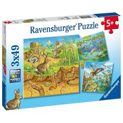 Пазл Ravensburger, 3x49 шт, Животные цена и информация | Пазлы | kaup24.ee