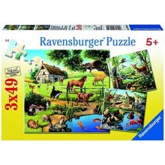 Ravensburger puzzle 3x49 tk Loomad hind ja info | Pusled | kaup24.ee