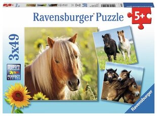 Ravensburger pusle 3x49 tk Hobused hind ja info | Pusled | kaup24.ee