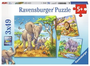 Пазл Ravensburger, 3x49 шт, Дикие животные цена и информация | Пазлы | kaup24.ee