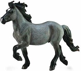 Фигурка CollectA Синяя исландская лошадь 88826 цена и информация | Игрушки для мальчиков | kaup24.ee