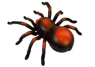 Огромный паук, дистанционно управляется ПДУ, черно-оранжевый цена и информация | Игрушки для мальчиков | kaup24.ee