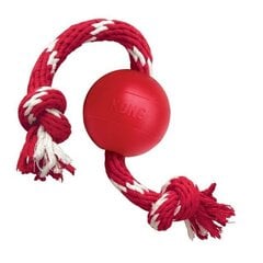 KONG BALL WITH ROPE S /KB21E/ цена и информация | Игрушки для собак | kaup24.ee
