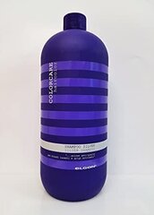 Elgon Colorcare Silver Shampoo 1000 мл цена и информация | Шампуни | kaup24.ee