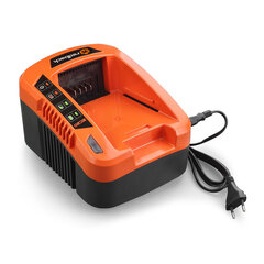 Зарядное устройство для аккумуляторов Redback 2A цена и информация | Запчасти для садовой техники | kaup24.ee