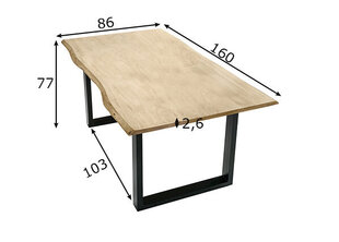 Обеденный стол Tische, 85x160, черный цена и информация | Кухонные и обеденные столы | kaup24.ee