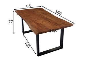 Обеденный стол Tische, 85x160 цена и информация | Кухонные и обеденные столы | kaup24.ee