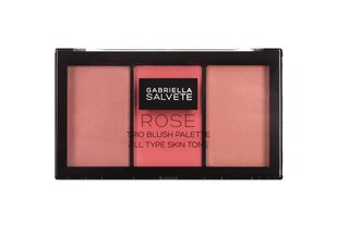 <p>Румяна Gabriella Salvete Trio Blush Palette 15 г, 02 Rose</p>
 цена и информация | Бронзеры (бронзаторы), румяна | kaup24.ee