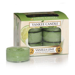 Yankee Candle Vanilla Lime lõhnaküünal 12 x 9.8 g hind ja info | Küünlad, küünlajalad | kaup24.ee