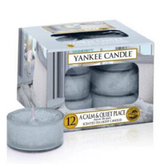 Yankee Candle A Calm & Quiet Place lõhnaküünal 12 x 9.8 g hind ja info | Küünlad, küünlajalad | kaup24.ee