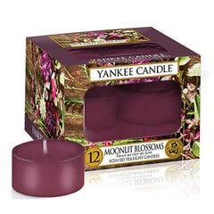 Yankee Candle Moonlit Blossoms lõhnaküünal 12 x 9.8 g hind ja info | Küünlad, küünlajalad | kaup24.ee