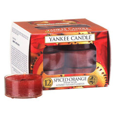 Yankee Candle Spiced Orange lõhnaküünal 12 x 9.8 g hind ja info | Küünlad, küünlajalad | kaup24.ee