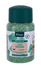 Kneipp Mineral Bath Salt Cold Season соль для ванны 500 г цена и информация | Масла, гели для душа | kaup24.ee