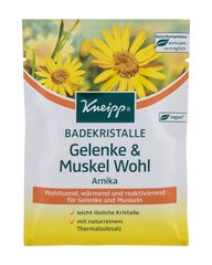 Kneipp Mineral Bath Salt Joint & Muscle vannisool 60 g hind ja info | Dušigeelid, õlid | kaup24.ee