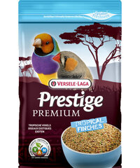 VERSELE-LAGA LINDUDE TÄISSÖÖT PREM.PRESTIGE TROPICAL FINCHES 800G цена и информация | Корм для птиц | kaup24.ee