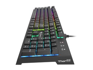 GENESIS THOR 210 RGB Gaming Keyboard, US цена и информация | Клавиатуры | kaup24.ee