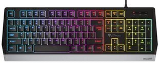 Genesis Rhod 300 RGB Gaming keyboard, RG цена и информация | Клавиатуры | kaup24.ee