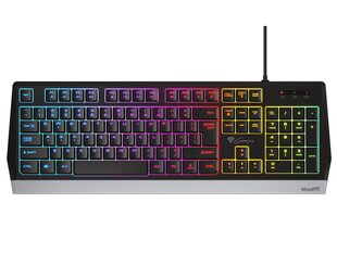 Genesis Rhod 300 RGB Gaming keyboard, RG цена и информация | Клавиатуры | kaup24.ee