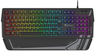 Genesis Rhod 350 RGB Gaming keyboard, RG цена и информация | Клавиатура с игровой мышью 3GO COMBODRILEW2 USB ES | kaup24.ee