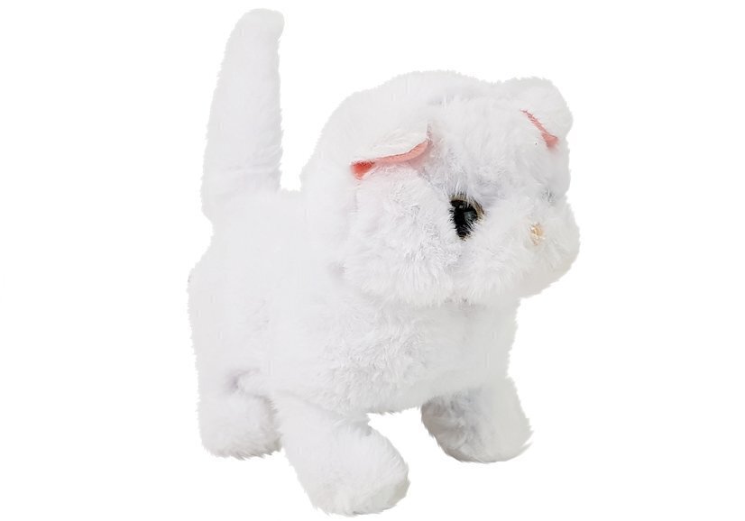 Interaktiivne jalutav kassipoeg, valge hind ja info | Pehmed mänguasjad | kaup24.ee